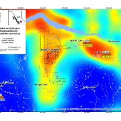 rabbit_regional_gravity_14-02